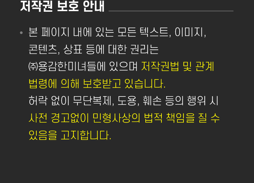 용감한미녀들